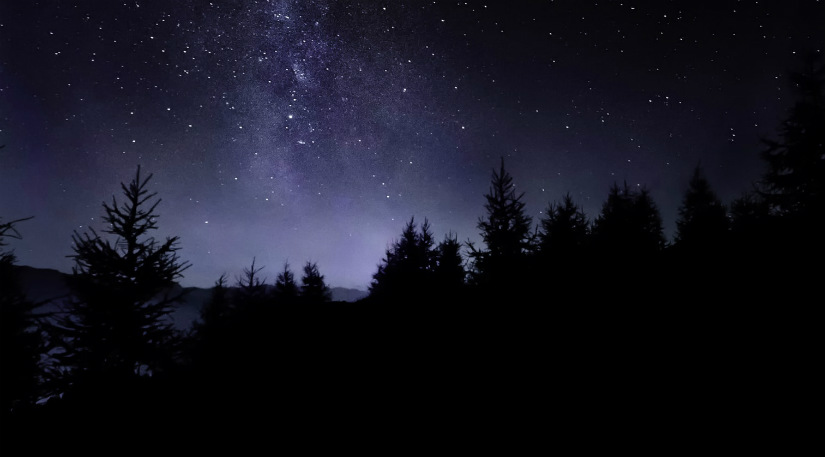 Silhouette of a forest in a night sky